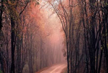 开云体育下载-猛龙轻取勇士，伦纳德惊艳四座