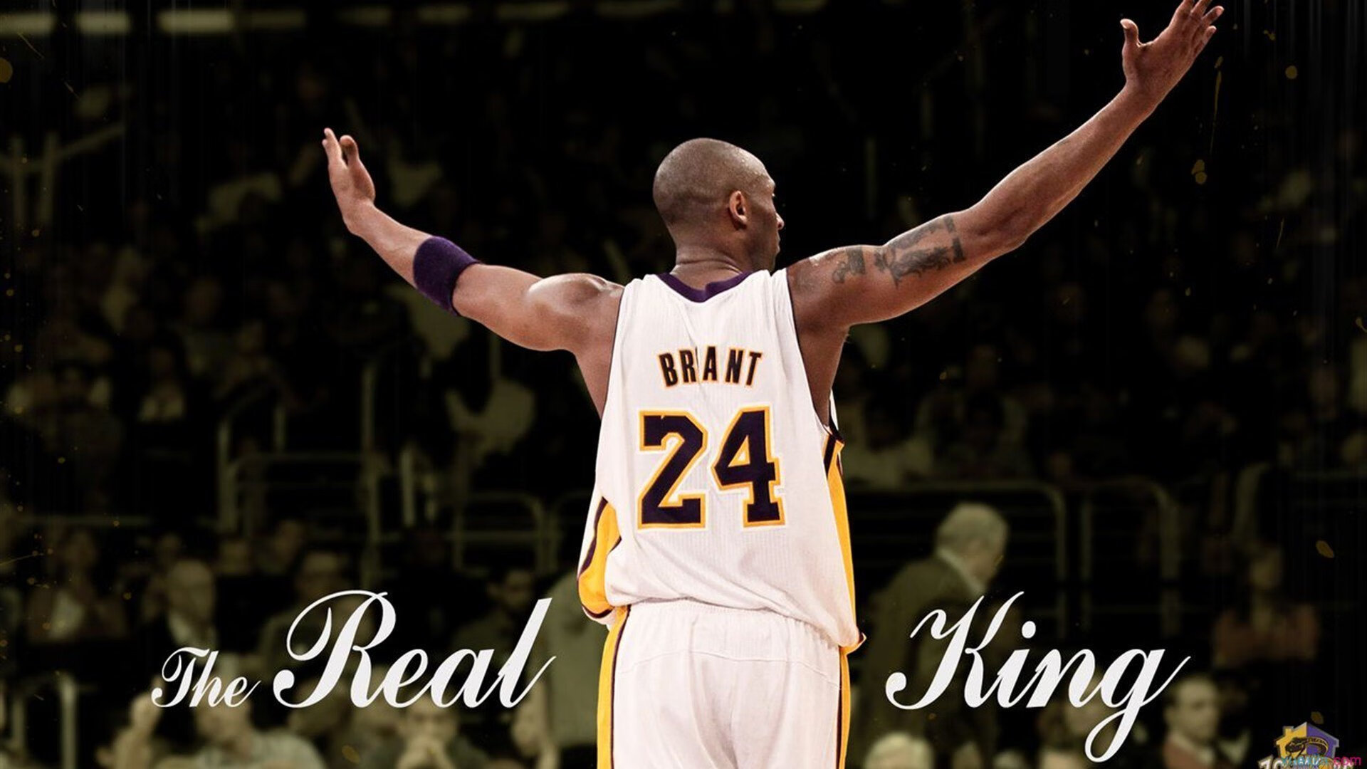 赛道上的逆袭，维斯塔潘关键制胜，雷诺力克哈斯背后的战术博弈